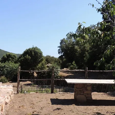 Βίλα L'Ortu Di Pisettu -2 *