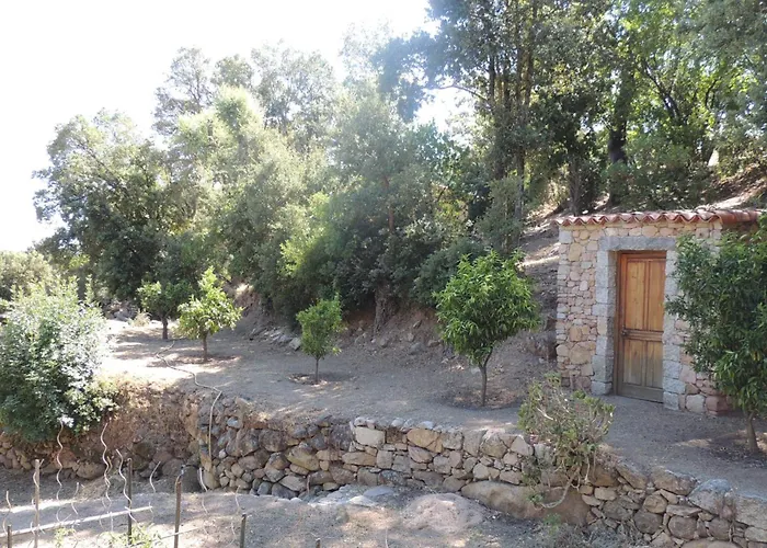 L'ortu Di Pisettu -2 *