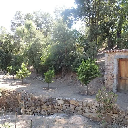 L'ortu Di Pisettu -2 *