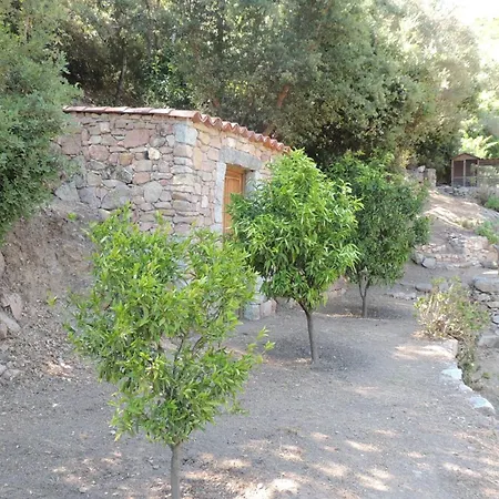 L'ortu Di Pisettu -2 *