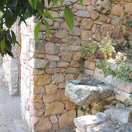 L'ortu Di Pisettu -2 콩카