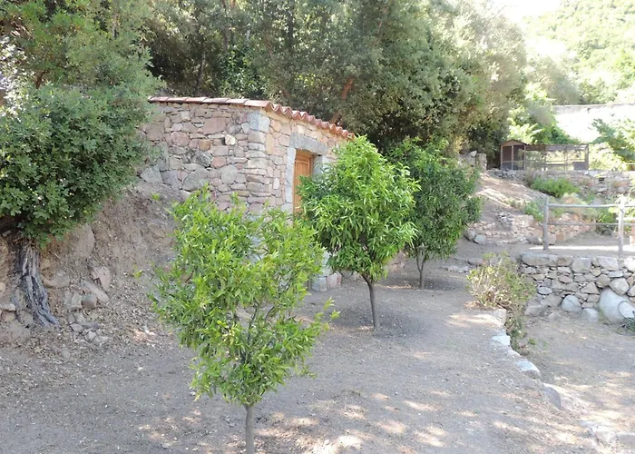 L'ortu Di Pisettu -2 *