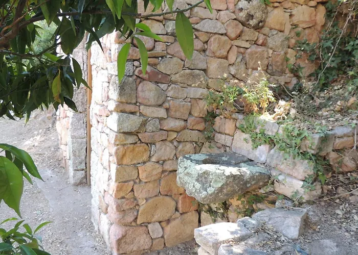 L'ortu Di Pisettu -2 Conca